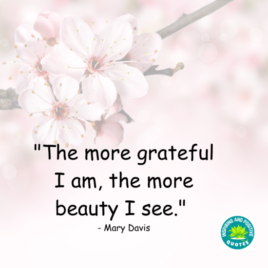 Finding Joy and Appreciation in Everyday Life - Inspiring And Positive ...